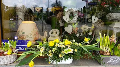 Kwiaciarnia Domek Kwiatowy Dowóz